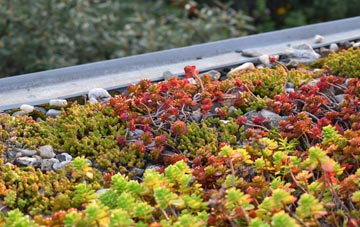 the cost of Ramsden Heath green roof installation