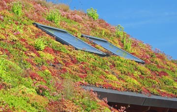Ramsden Heath living roof systems